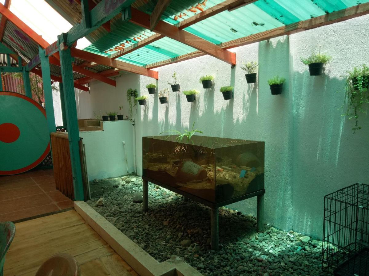 Smallfry'S Beach Resort Calatrava  Ngoại thất bức ảnh